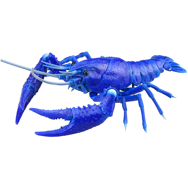 <フジミ模型>自由研究24 いきもの編 アメリカザリガニ ブルー