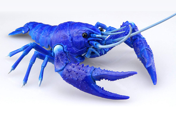 <フジミ模型>自由研究24 いきもの編 アメリカザリガニ ブルー