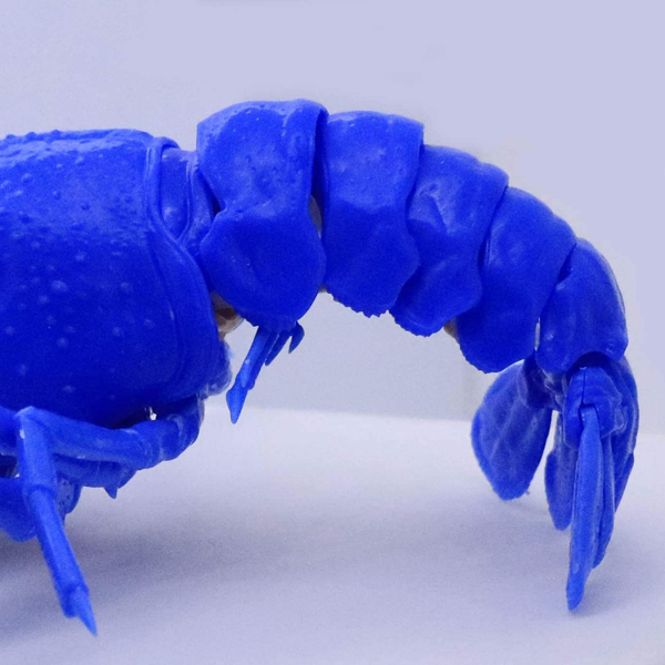 <フジミ模型>自由研究24 いきもの編 アメリカザリガニ ブルー