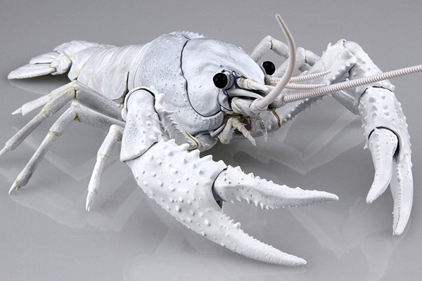 <フジミ模型>自由研究24 いきもの編 アメリカザリガニ ホワイト