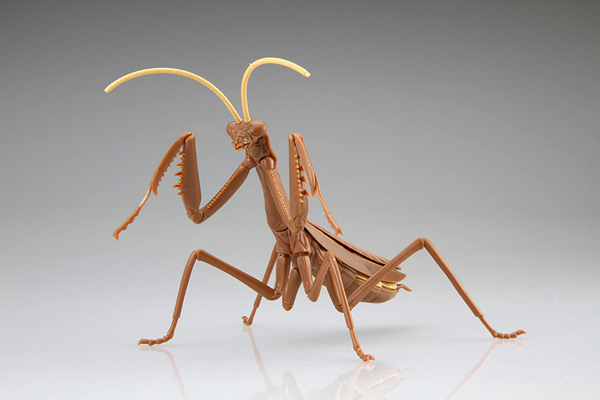 <フジミ模型>自由研究23 いきもの編 オオカマキリ 茶色
