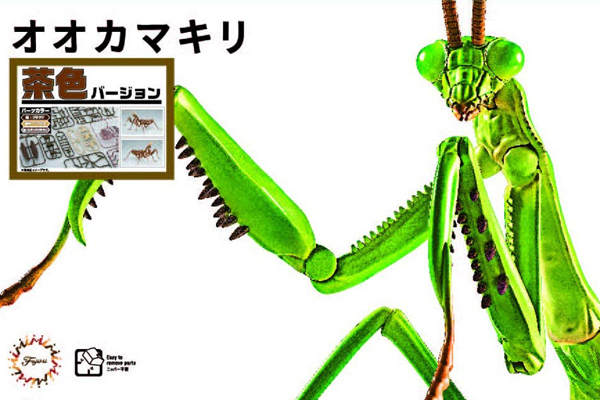 <フジミ模型>自由研究23 いきもの編 オオカマキリ 茶色