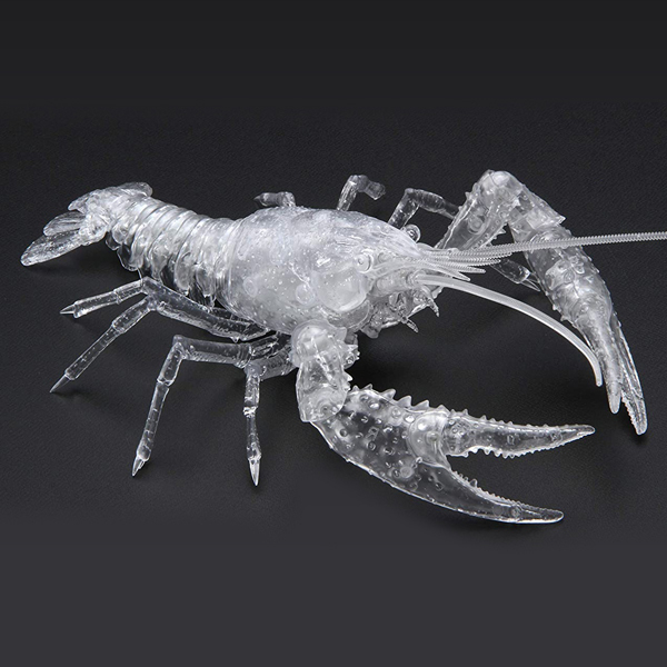 <フジミ模型>自由研究24 いきもの編 アメリカザリガニ 透明