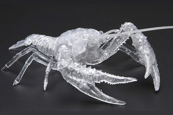 <フジミ模型>自由研究24 いきもの編 アメリカザリガニ 透明