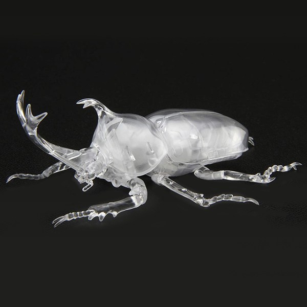 <フジミ模型>自由研究21 いきもの編 カブトムシ 特別仕様 クリアー