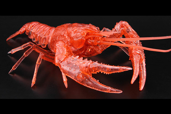 <フジミ模型>自由研究24 いきもの編 アメリカザリガニ 特別仕様 クリアーレッド
